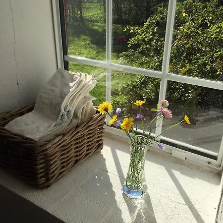 Alsbrogaard Bed & Breakfast Bramming