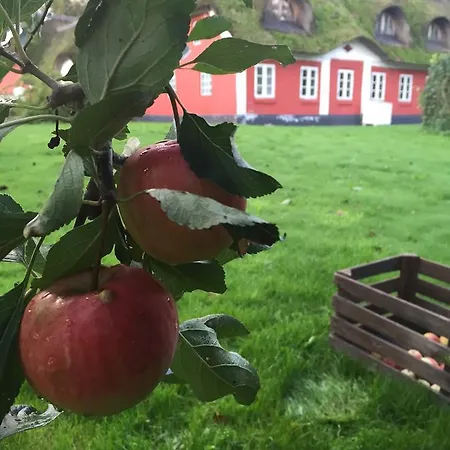 Bed & Breakfast Alsbrogaard